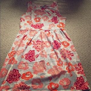 XSP Loft summer dress!